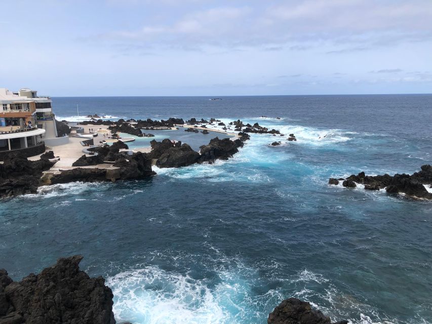Madeira West Safari - The natural lava pools of Porto Moniz - Pickup, timing, and how the day stays flexible