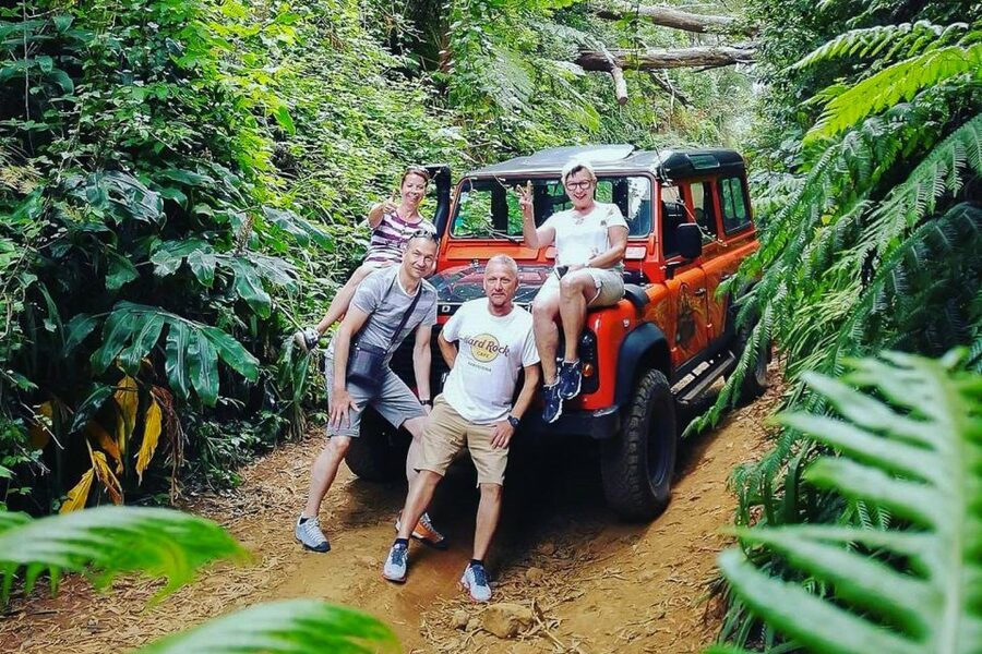 Madeira: West Side Jeep Tour with Natural Pools - Véu da Noiva Waterfall Area and Wild Birds