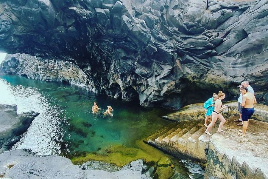 Madeira: West Side Jeep Tour with Natural Pools - Fanal Forest Walk: Mist, Mood, and Short Steps on Old Ground