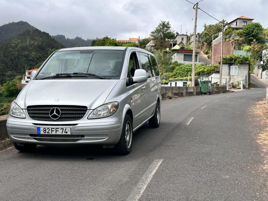 Madeira: Western Madeira Guided Trip & Fanal Mystic Forest - Porto Moniz Natural Volcanic Pools: Lunch, Free Time, and the Best Chance to Actually Swim