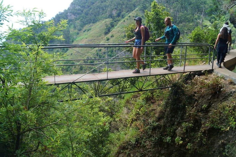 Madeira: Wet your hair in the amazing Levada Nova / Moinhos - Moinhos Levada in Madeira: why this walk feels special