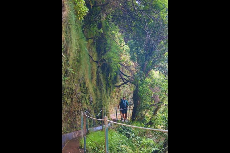 Madeira: Wet your hair in the amazing Levada Nova / Moinhos - Who should book this Madeira levada day, and who should skip