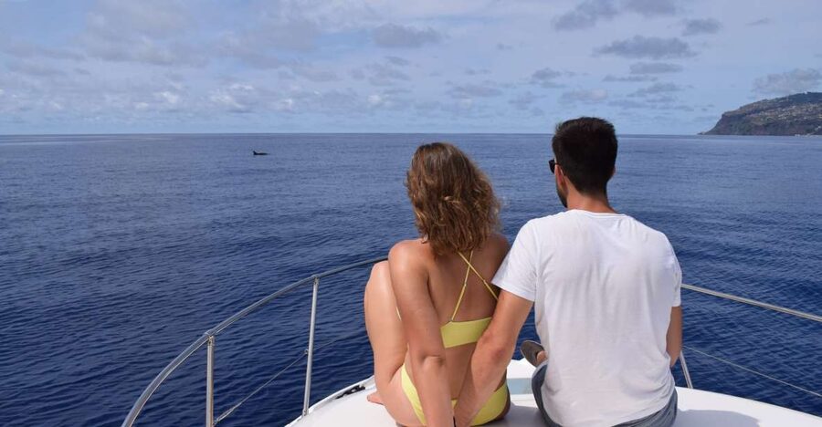 Madeira: Whale and Dolphin Watching Private Cruise - Key things I’d focus on before you book