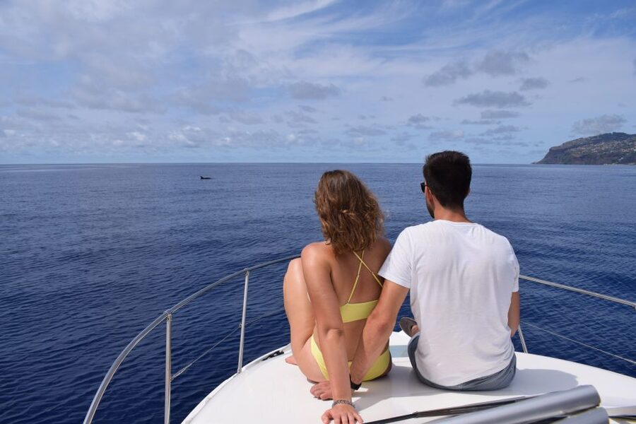 Madeira: Whale and Dolphin Watching Private Cruise - Price and value: what you really pay for