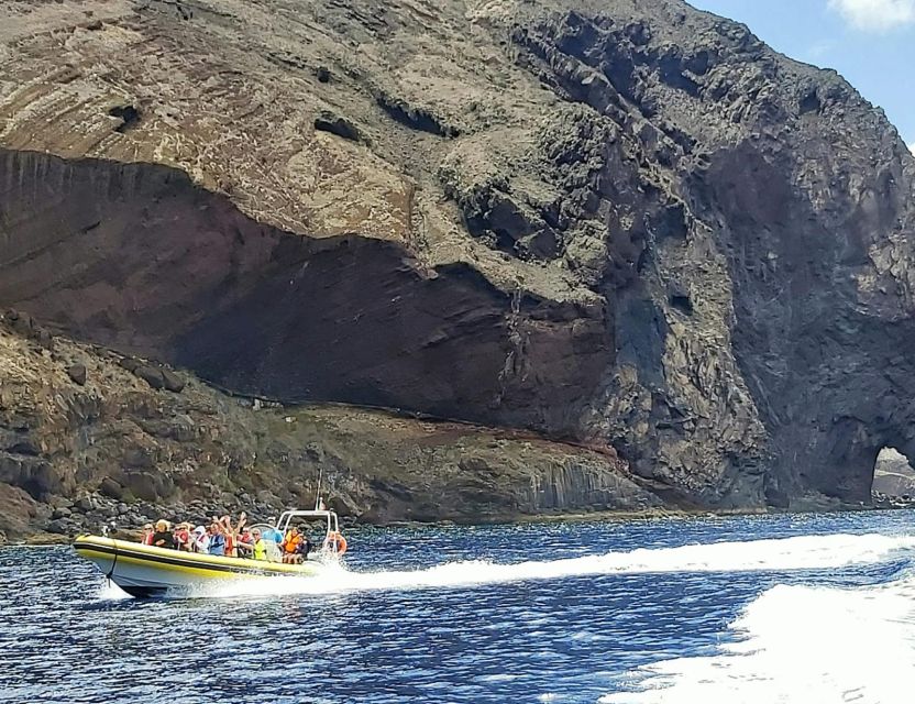 Madeira: Whale and Dolphin Watching Tour - What you’re likely to see: whales, dolphins, turtles, and more