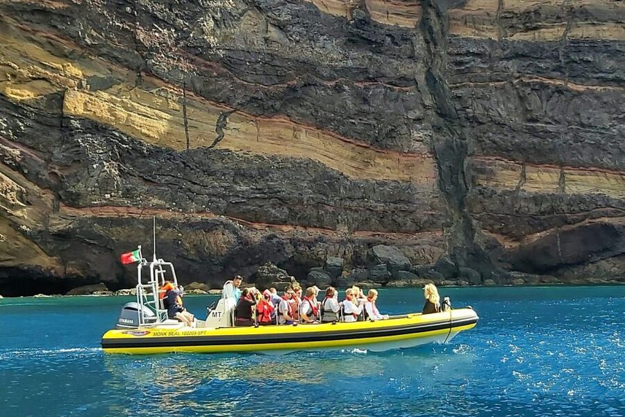 Madeira: Whale and Dolphin Watching Tour - The summer upgrade: snorkeling and swimming at Ponta de São Lourenço
