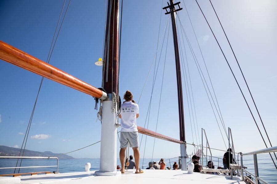 Madeira : Whales and Dolphins wooden boat excursion - How dolphin and whale watching plays out on the water