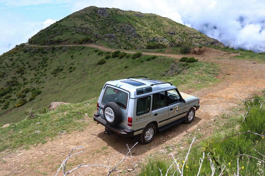 Madeira Wild West 4X4 Tour Safari - Fanal Forest: Big Trees, Small Time Budget, Best Attitude