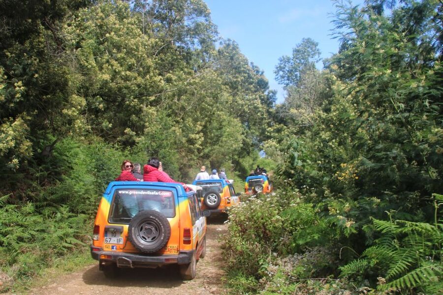 Madeira: Wine & Tapas, Cabo Girão Skywalk 4x4 Jeep Adventure - Price and logistics: What you’ll actually pay all-in
