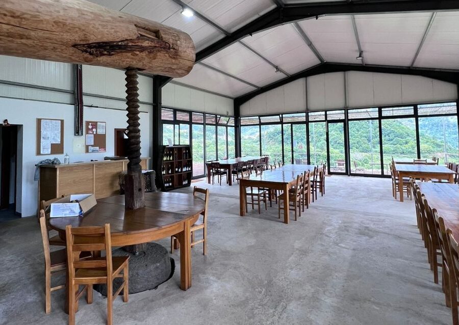 Madeira: Wine Tasting Guided Tour, Jeep Safari, & Viewpoints - Quinta do Barbusano: The Vineyard Walk That Makes the Wine Click
