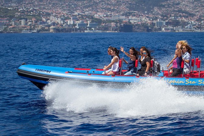Magic Dolphin Sea Safaris - Key Things I’d Pay Attention To