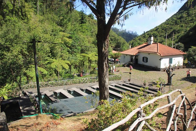 Magnificent East Tour - Ponta de São Lourenço: A Guide Helps You See What You’d Miss