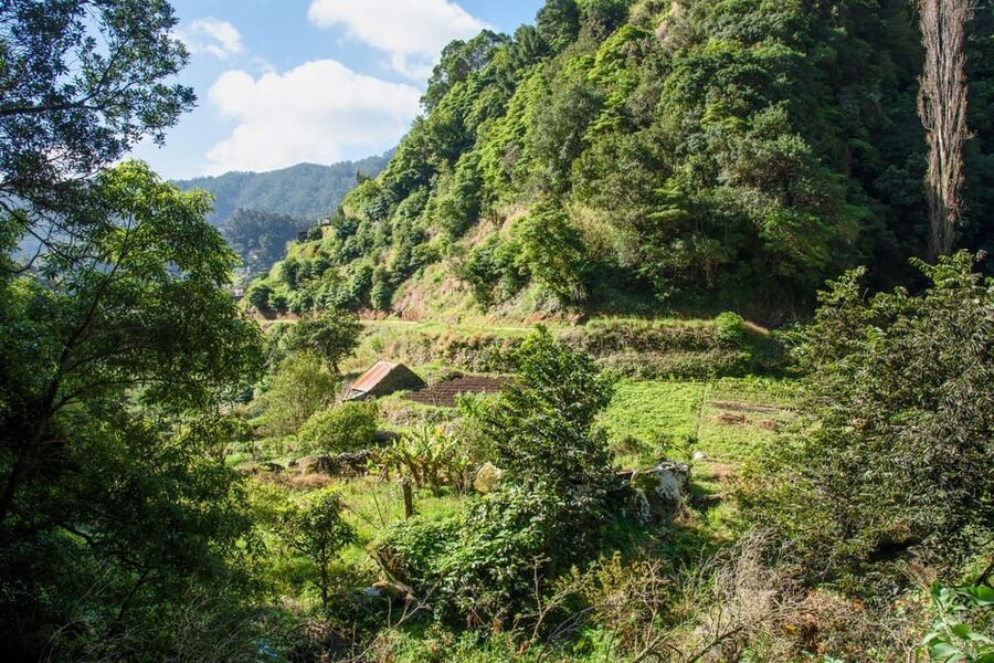 Maroços Madeira Island Levada Walk - What You’ll Like Most About the Maroços Levada Walk