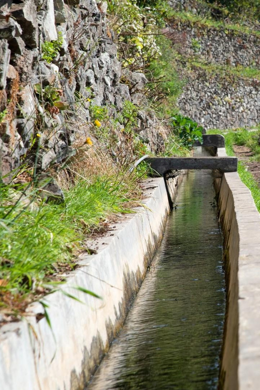 Maroços Madeira Island Levada Walk - Who Should Book This Walk, and Who Might Skip It