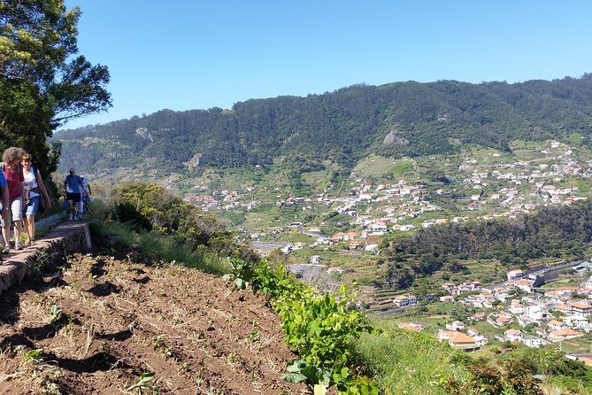 Maroços - Mimosa Valley - Key highlights at a glance