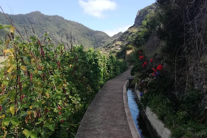 Maroços - Mimosa Valley - Price and value: is $42.01 fair for a 2-hour guided hike?