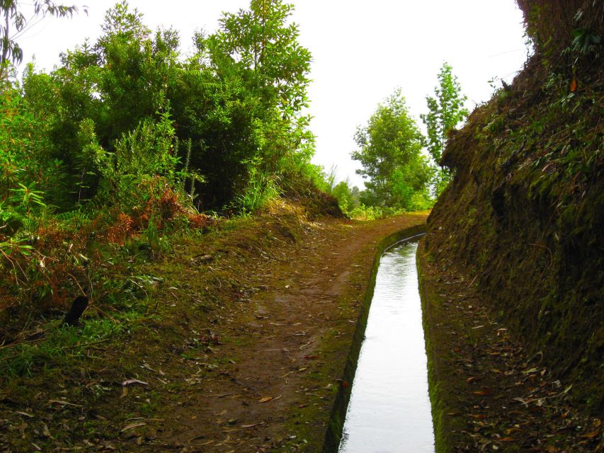 Maroços / Mimosa Valley - Levada Walk - Quick hits you’ll actually care about