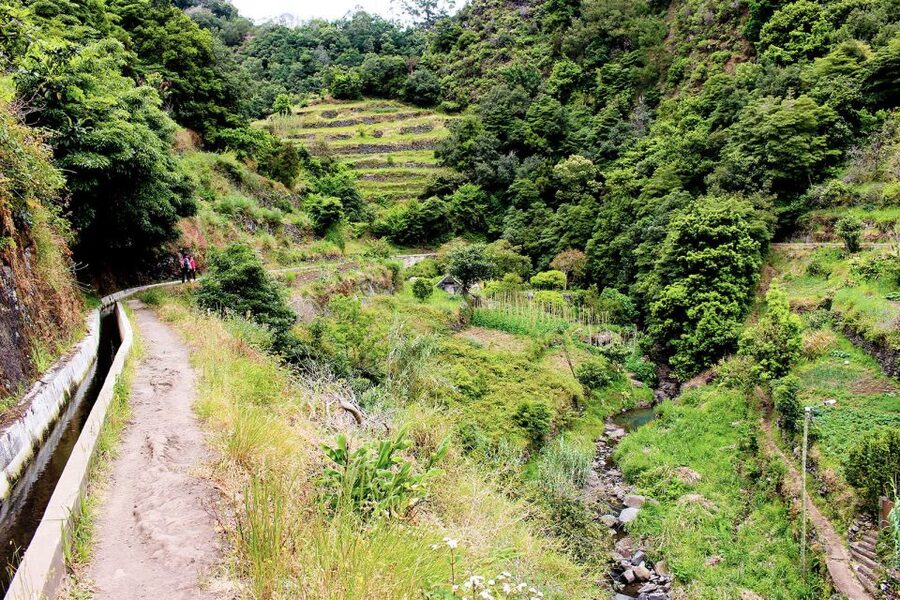 Maroços / Mimosa Valley - Levada Walk - Machico’s Mimosa Valley: Why This Levada Walk Works