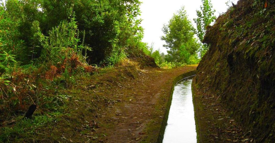 Maroços / Mimosa Valley - Levada Walk - What You See Up Close: Agricultural Land and Crops in Motion