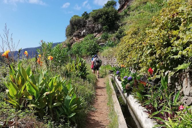 Maroços - Mimosa Valley - Machico valley views: when the scenery actually hits