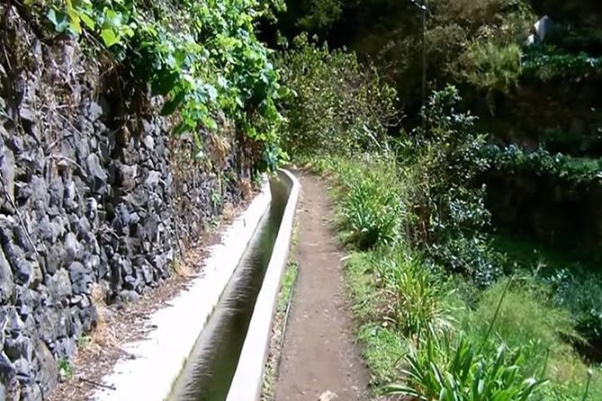 Mimosa Valley Walk - Key Things to Know Before You Go