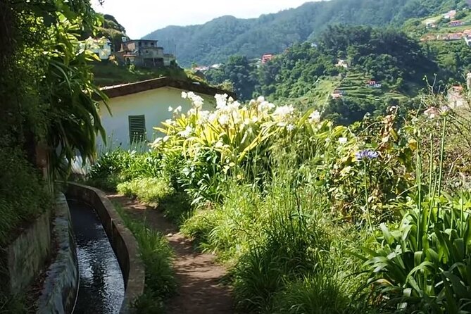 Mimosa Valley Walk - Mimosa Valley Levada Walk, Explained Without the Fuss