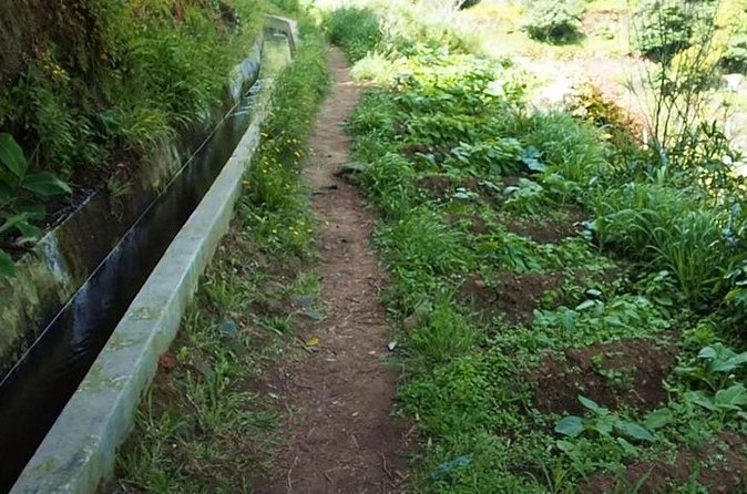 Mimosa Valley Walk - What You’ll See Along the Mimosa Valley Route