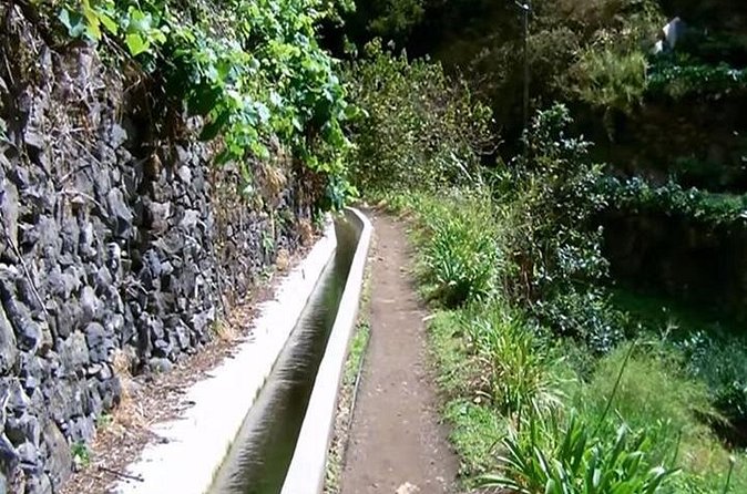 Mimosa Valley Walk - The Guide Experience: Small Group, Big Help