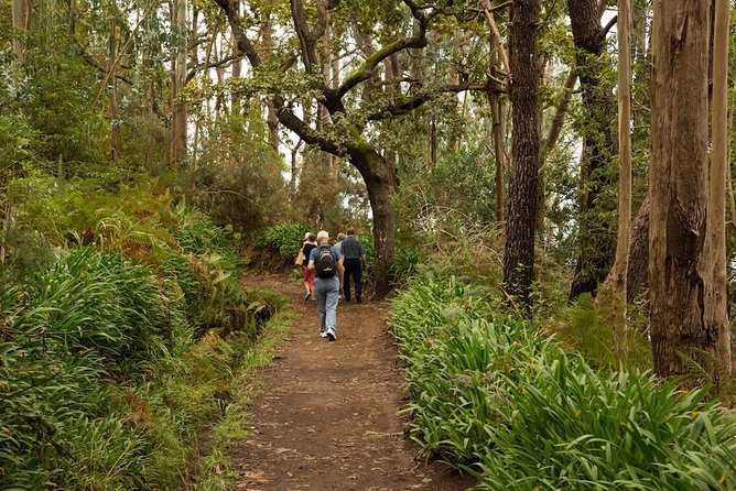 Mini -Combo East Challenge (Jeep & Levada Walk)- Shared Tour - Jeep and Levada East Challenge, in Plain Terms