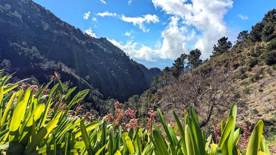 Mountain Wonders: Nuns Valley Half-day Private Jeep - Doca do Cavacas: A Coastal Pass-By Before You Head Back