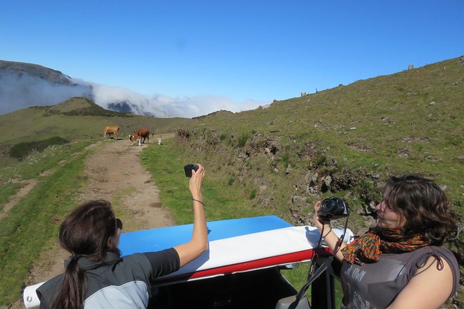 Northeast 4x4 Santana and Landscapes Day Trip - Stop 4: São Jorge, fertile farms and Madeira’s wine connection