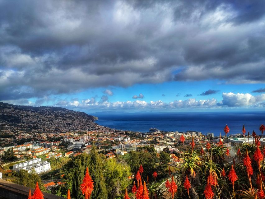 Nun's Valley - From Funchal pickup to mountain roads: what the ride is like
