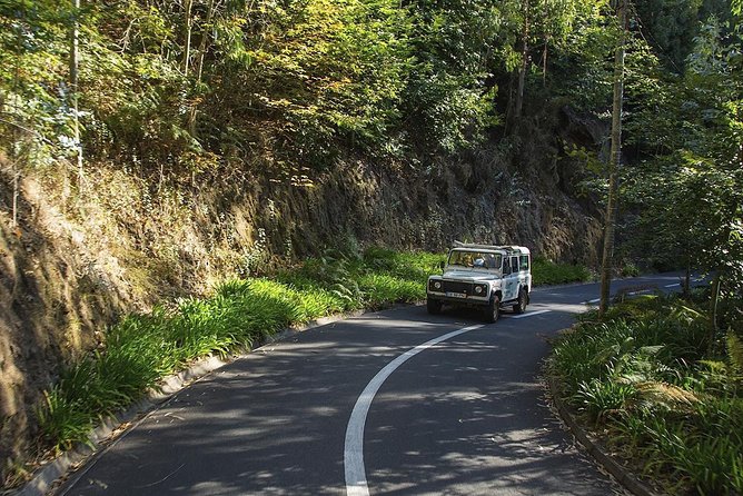 Nun's Valley & Sea Cliff - Half Day - Shared Tour - Câmara de Lobos: a calm fishing village break that fits the schedule
