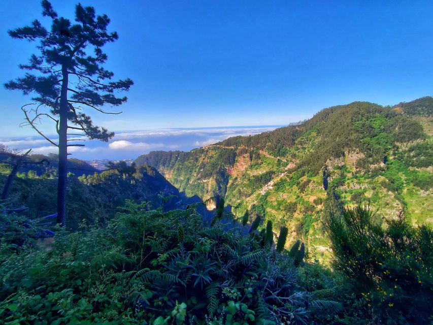 Nun's Valley - Pico dos Barcelos: fast access to a 360º style view