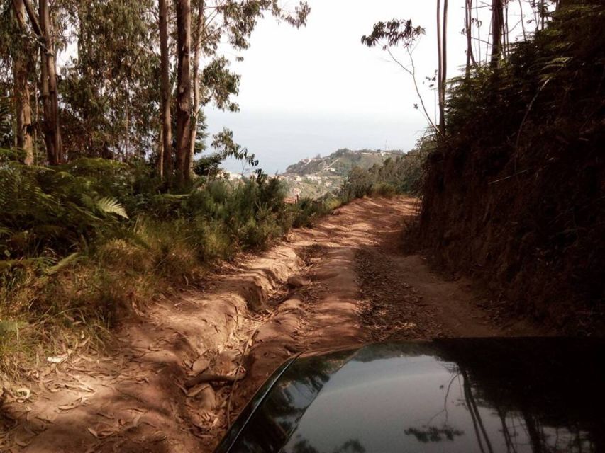 Nuns Valley Half Day Trip 4x4 Jipe Tour - Why this Madeira half-day tour feels different from a standard drive