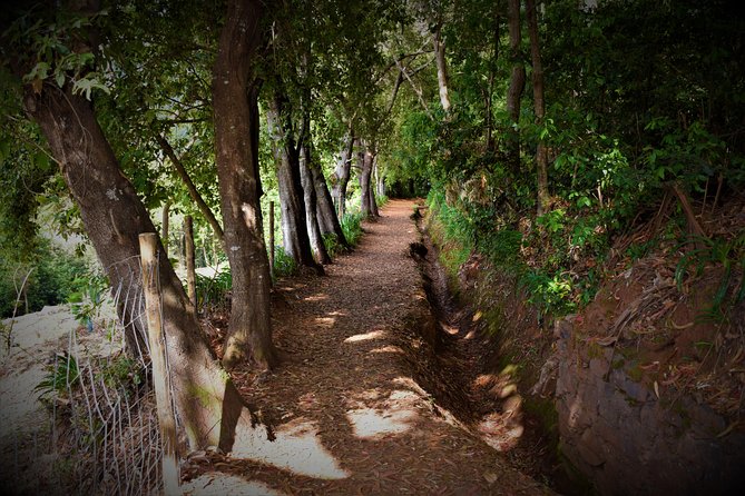 Paradise Valley Beauty Walk - Your Guide Matters More Than You Think, and Gabriel Gets Praise for a Reason