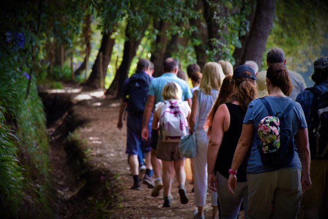 Paradise Valley Beauty Walk - Pace and Group Size: Why This Walk Works for Casual Walkers