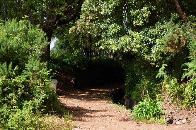 Paradise Valley Beauty Walk - Camacha to Rochão Is Built for a Half-Day Plan, Not a Full Adventure Day
