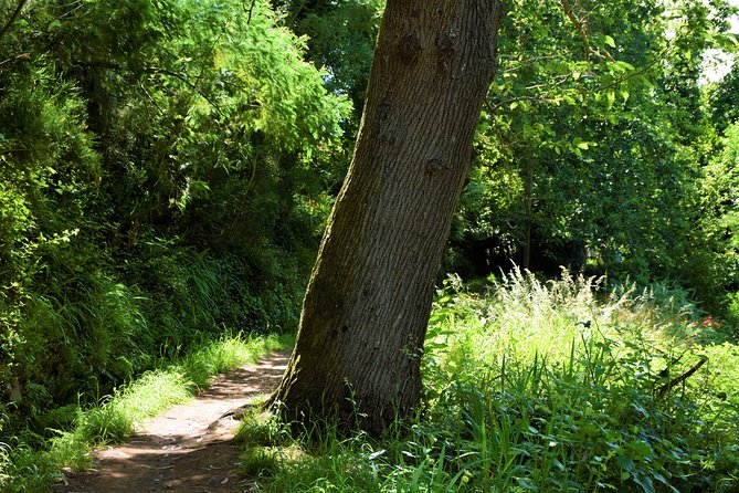 Paradise Valley Beauty Walk - Weather Check: The Tour Runs When Conditions Are Right