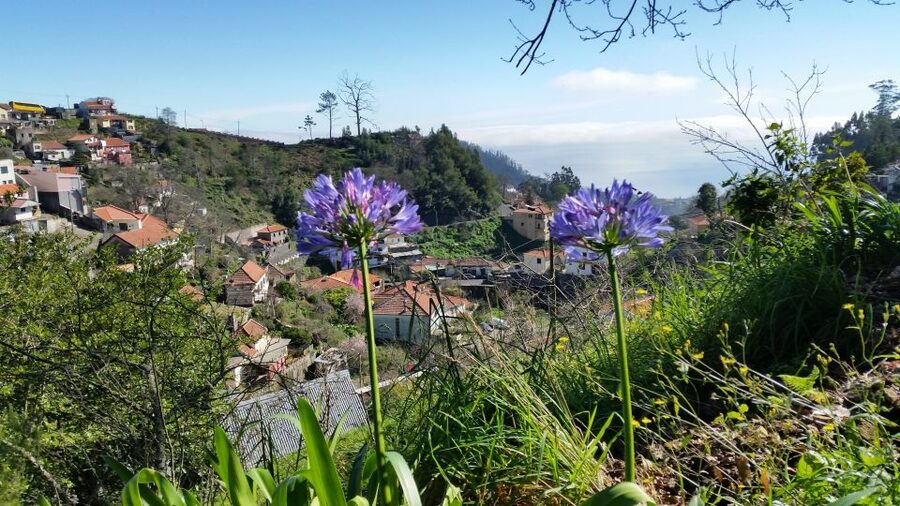 Paradise Valley half-day morning walk. - Paradise Valley in Madeira, why this morning walk works so well