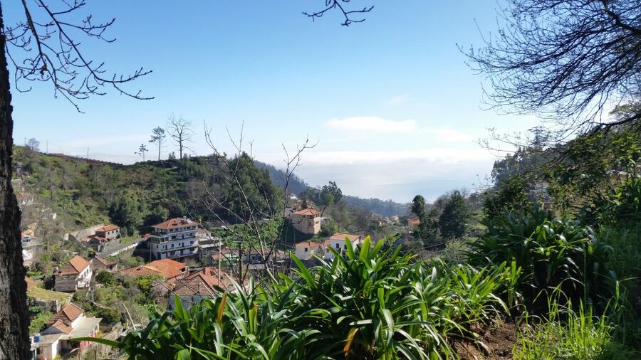 Paradise Valley half-day morning walk. - The terraces and the people who maintain them
