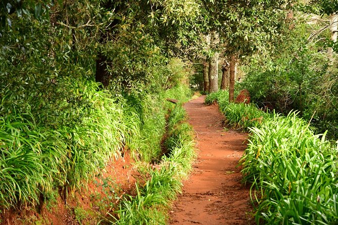Paradise Valley Madeira Island Walk - Key highlights worth knowing