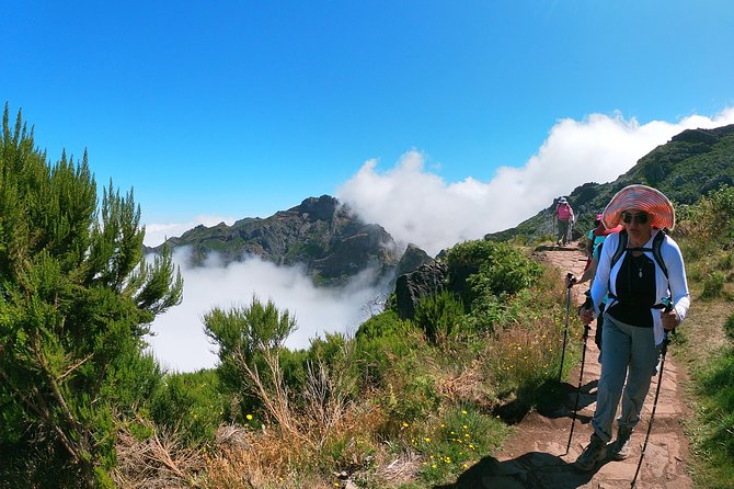 Pico do Areeiro to Pico Ruivo (PR 1) - Hiking Tour in Madeira - How the route handles terrain: tunnels, bridges, and narrow trail sections
