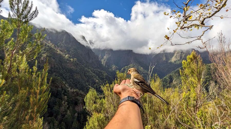 Pico do Arieiro in 4h: Immersive Private Experience (Cabrio) - The Private Cabriolet Ride, and the Tough No-Camera Rules