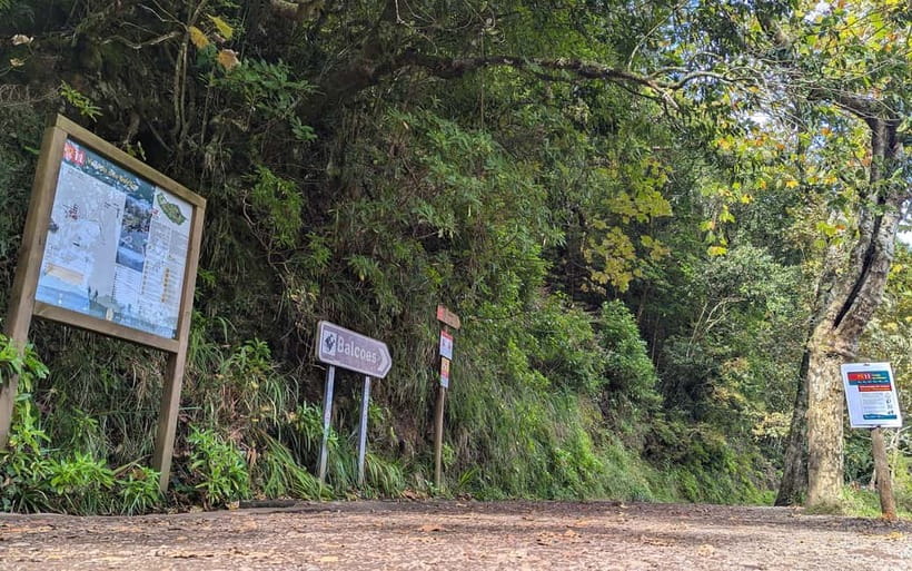 Pico do Arieiro in 4h: Immersive Private Experience (Cabrio) - Camacha and Terreiro da Luta: The Fast Start to Madeira’s Stories