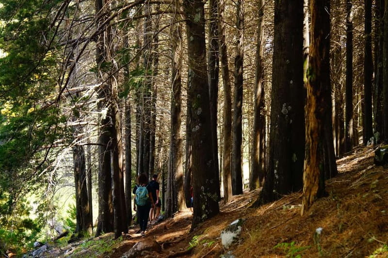 Pico do Arieiro - Stairway to Heaven Hike - Sunrise Option - Key things to know before you go