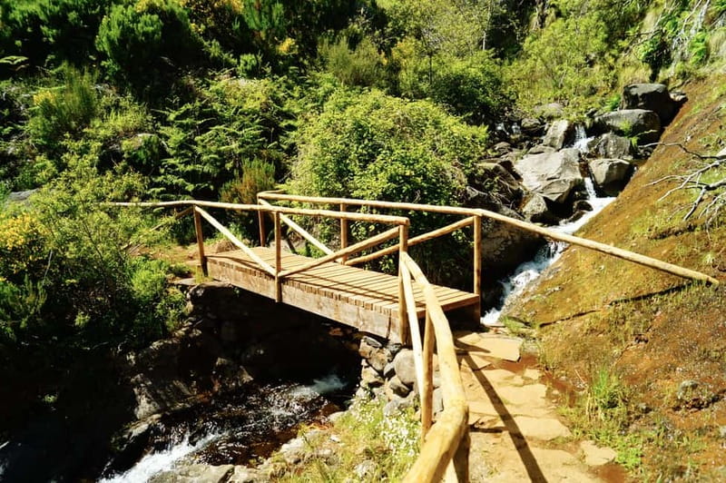 Pico do Arieiro - Stairway to Heaven Hike - Sunrise Option - Morning logistics: Funchal pickup, shared ride, and driver language