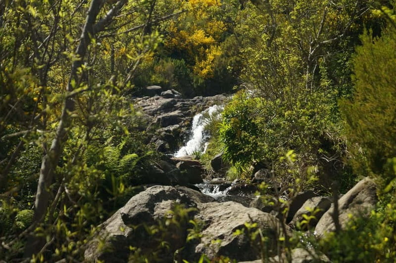 Pico do Arieiro - Stairway to Heaven Hike - Sunrise Option - Restrictions and comfort reality checks (so you can plan well)