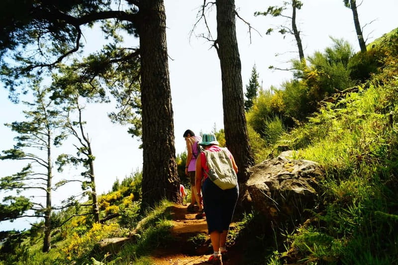 Pico do Arieiro - Stairway to Heaven Hike - Sunrise Option - Practical tips for a smoother Pico do Arieiro morning