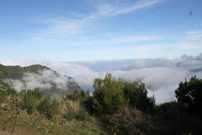 Porto Moniz 4x4 West tour - Vereda do Fanal and the levada walk: what you’re really here for